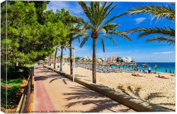 Sand beach with palm tree pormenade in Magaluf on Mallorca Canvas Print by Alex Winter