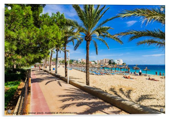 Sand beach with palm tree pormenade in Magaluf on Mallorca Acrylic by Alex Winter