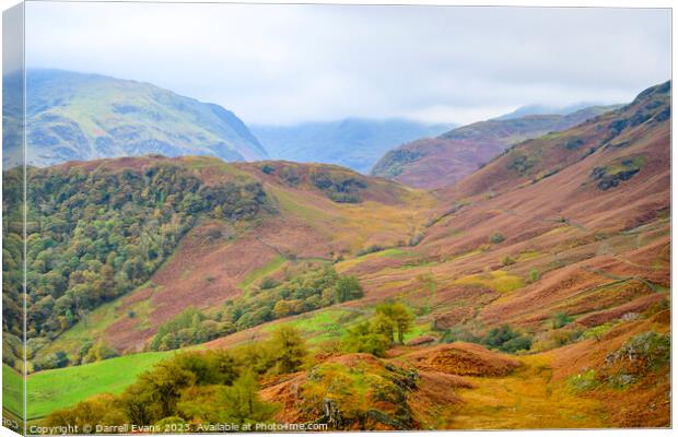 Above Borrowdale Canvas Print by Darrell Evans
