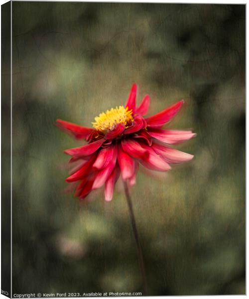 Red Dahlia Canvas Print by Kevin Ford