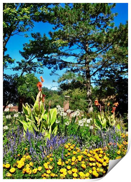 Flowers in the garden Print by Stephanie Moore