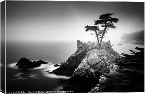 Lone Cypress Monterey Canvas Print by Robert Deering