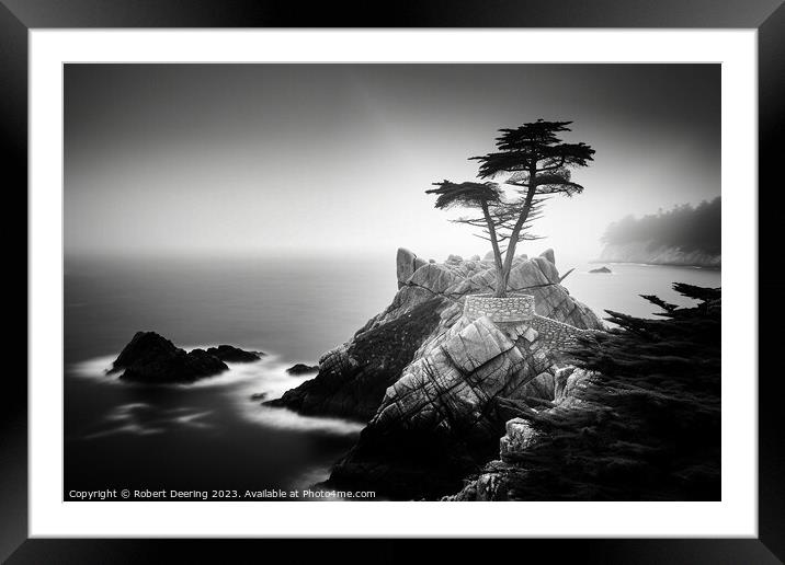 Lone Cypress Monterey Framed Mounted Print by Robert Deering