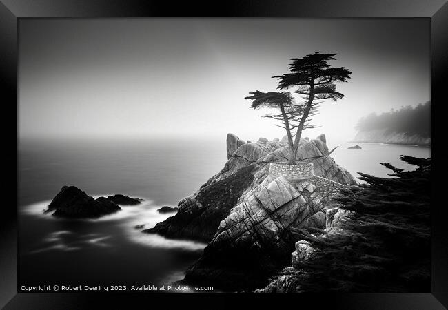 Lone Cypress Monterey Framed Print by Robert Deering