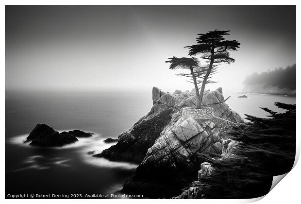Lone Cypress Monterey Print by Robert Deering