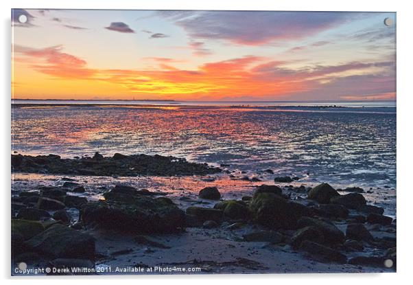Balmossie Beach Sunrise Acrylic by Derek Whitton