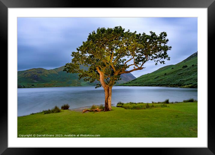 Lake Side Framed Mounted Print by Darrell Evans