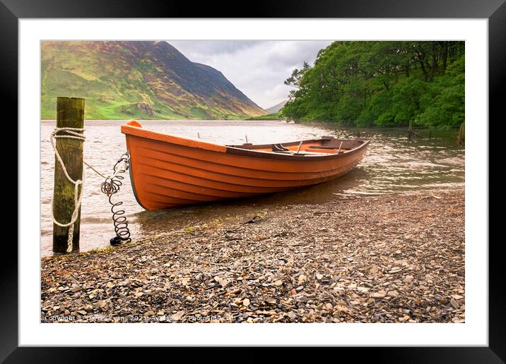 Rowing boat Framed Mounted Print by Darrell Evans