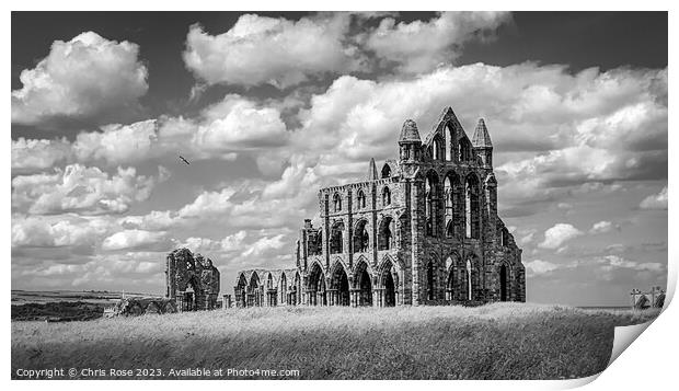 Whitby Abbey Print by Chris Rose