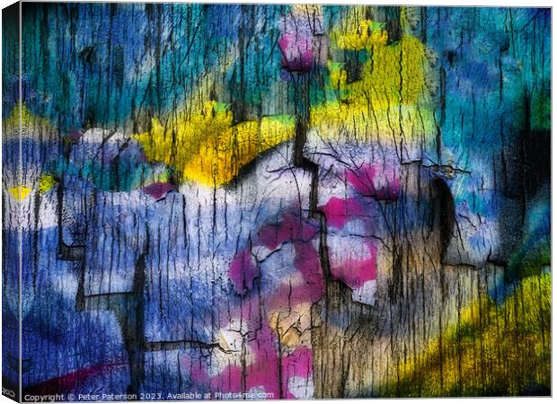 Abstract Photo of Graffiti Canvas Print by Peter Paterson