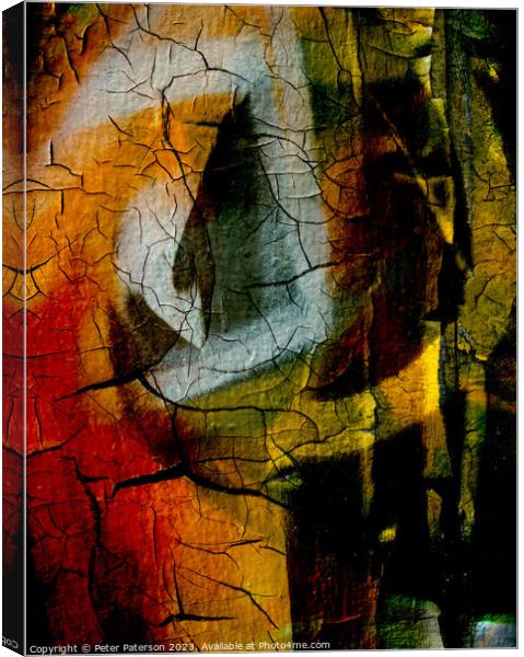 Abstract of Graffiti  Canvas Print by Peter Paterson
