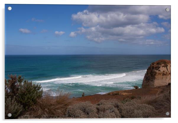 The Southern Ocean from the Great Ocean Road Acrylic by Sally Wallis