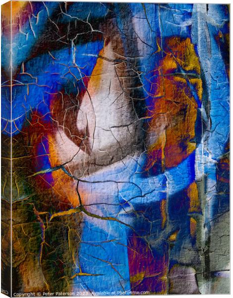 Abstract photo Canvas Print by Peter Paterson