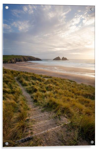 Serene Path Through Holywell Bay Dunes Acrylic by Matthew Grey