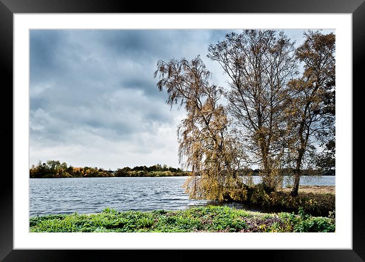 Rushmere Broad Framed Mounted Print by Stephen Mole
