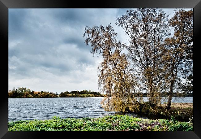 Rushmere Broad Framed Print by Stephen Mole