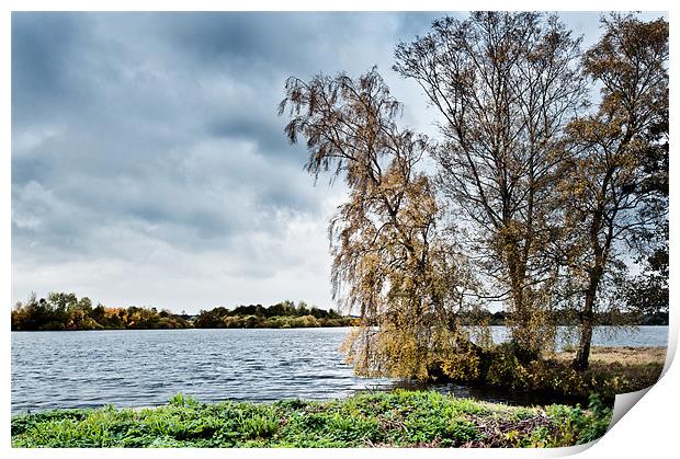 Rushmere Broad Print by Stephen Mole