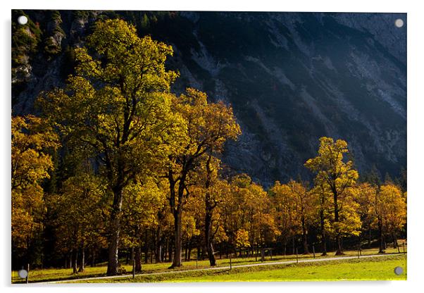 Fall colors in the alps Acrylic by Thomas Schaeffer