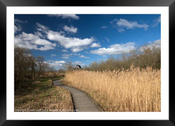 Serenity at Ranworth Nature Trail Framed Mounted Print by Sally Lloyd