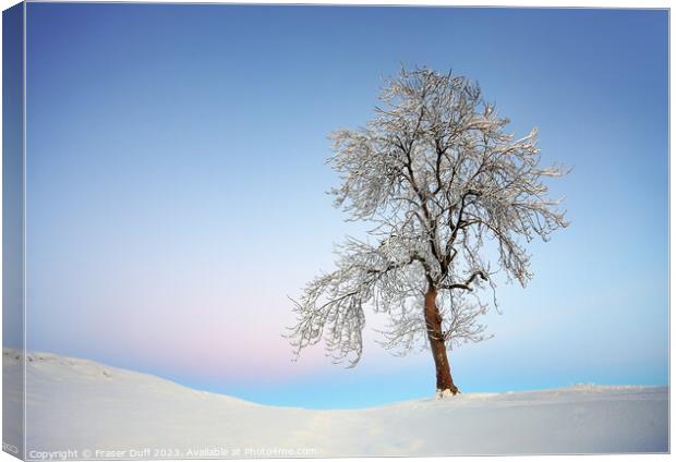 Winter Tree, Auldhouse, Scotland Canvas Print by Fraser Duff
