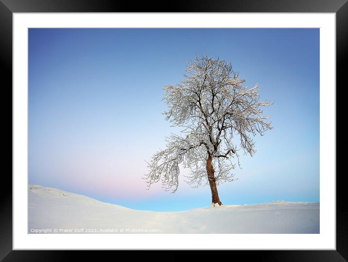 Winter Tree, Auldhouse, Scotland Framed Mounted Print by Fraser Duff