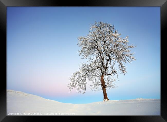 Winter Tree, Auldhouse, Scotland Framed Print by Fraser Duff