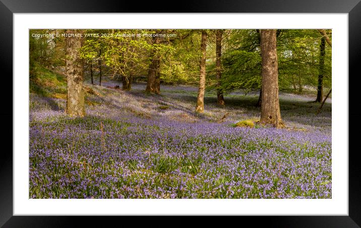 Enchanting Bluebell Woodland Framed Mounted Print by MICHAEL YATES