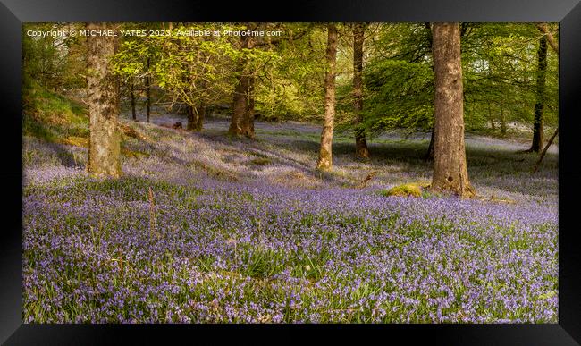 Enchanting Bluebell Woodland Framed Print by MICHAEL YATES