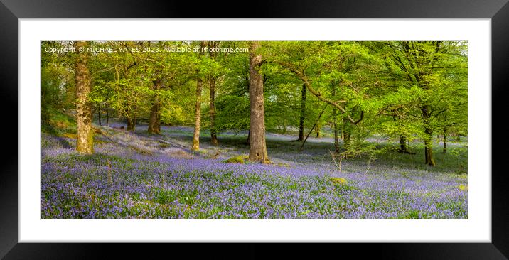 Bluebell Panorama . Framed Mounted Print by MICHAEL YATES