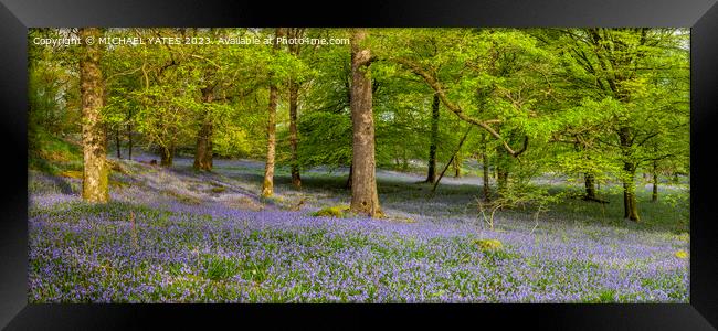 Bluebell Panorama . Framed Print by MICHAEL YATES