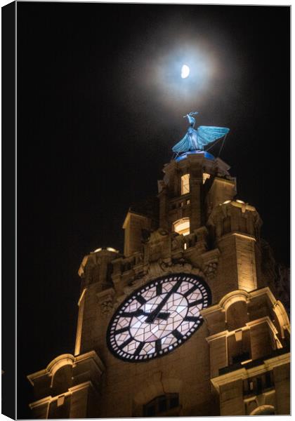 Moonshine Liverpool Liverbirds Canvas Print by Liam Neon