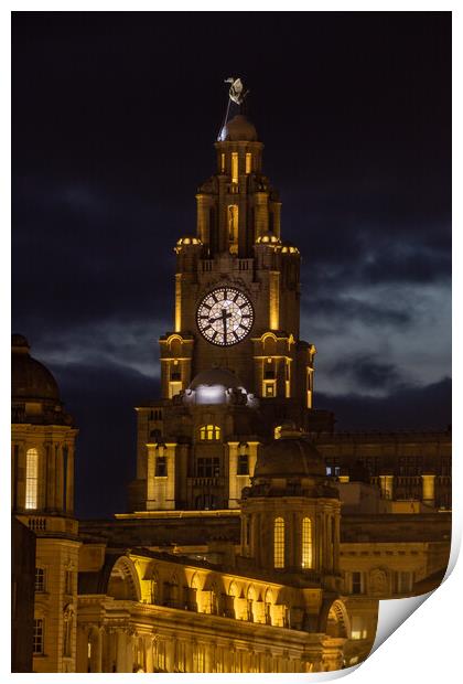 Liverpool Liver Birds at night. Print by Liam Neon