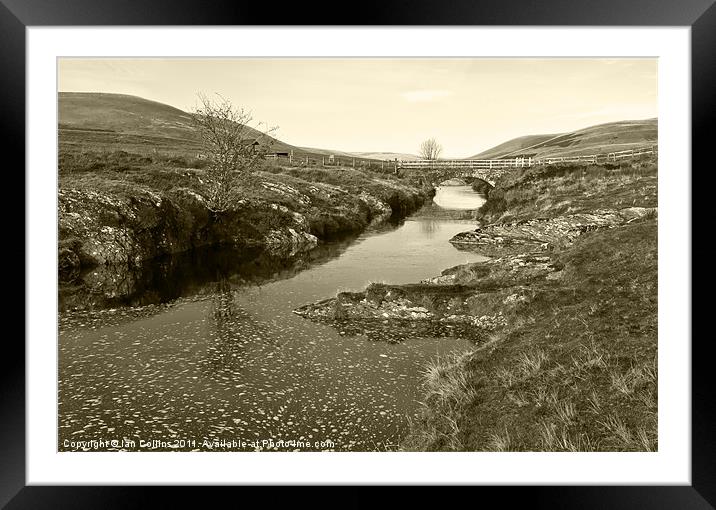 Elan Valley Bridge Framed Mounted Print by Ian Collins