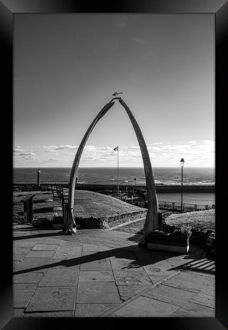 The Whitby Whalebones Framed Print by Steve Smith
