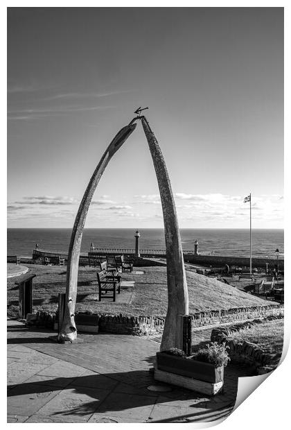 The Whitby Whalebones Print by Steve Smith