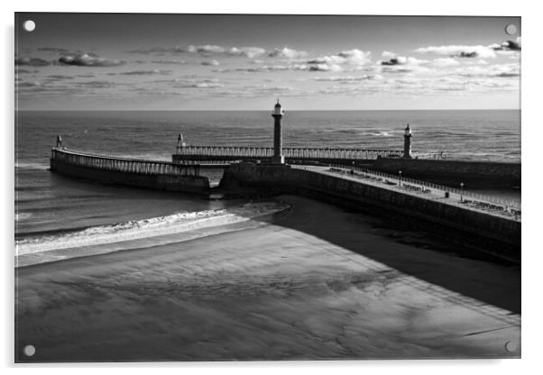 Whitby Piers Acrylic by Steve Smith