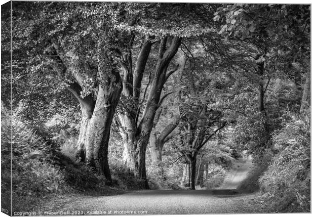 Woodland Roadway in Monochrome, Gelston, Dumfries  Canvas Print by Fraser Duff