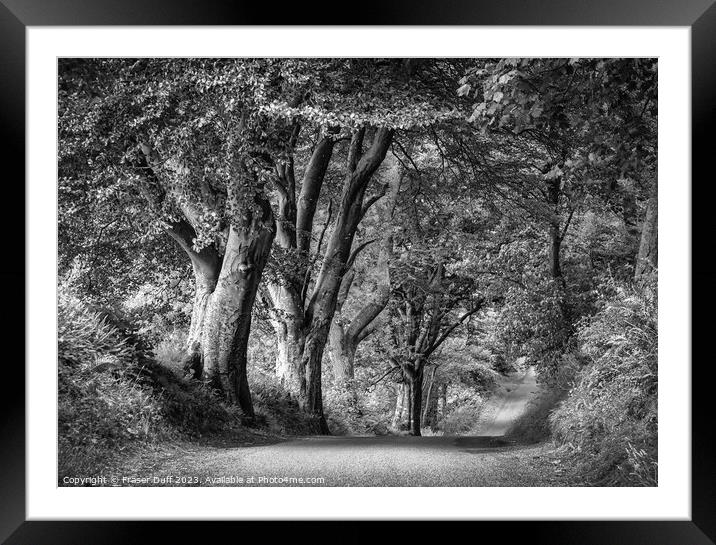 Woodland Roadway in Monochrome, Gelston, Dumfries  Framed Mounted Print by Fraser Duff