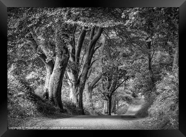 Woodland Roadway in Monochrome, Gelston, Dumfries  Framed Print by Fraser Duff