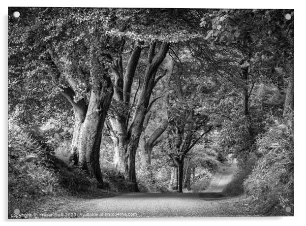 Woodland Roadway in Monochrome, Gelston, Dumfries  Acrylic by Fraser Duff
