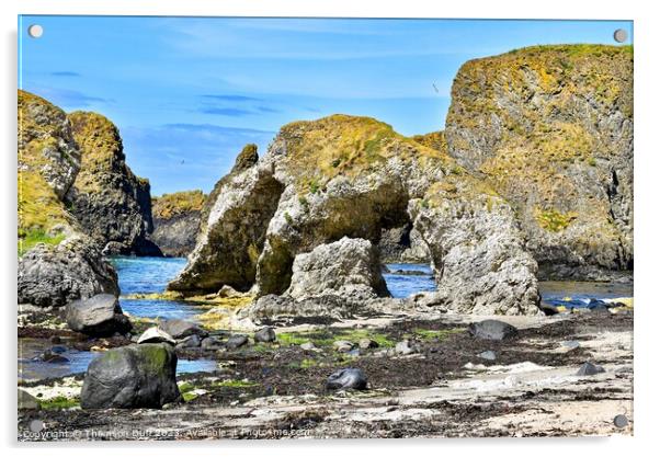 Ballintoy, Co. Antrim, Northern Ireland  Acrylic by Thomson Duff