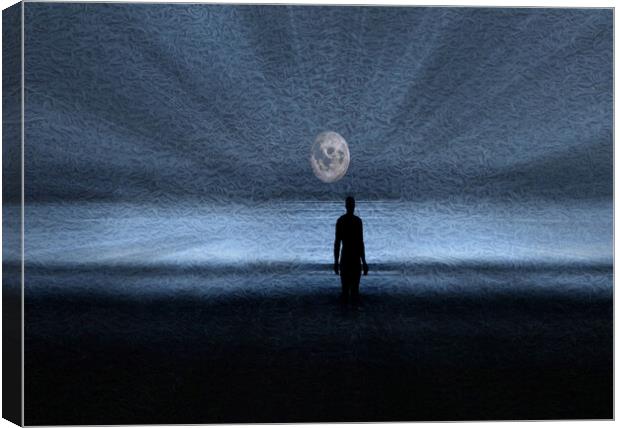 silvery moon Canvas Print by sue davies