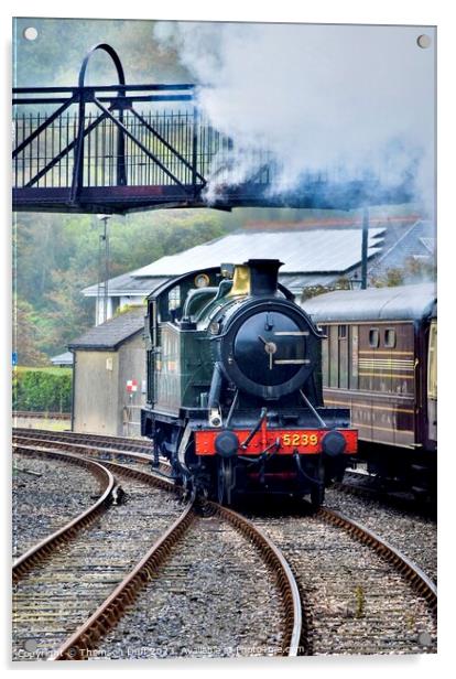 Steam train Kingswear Acrylic by Thomson Duff