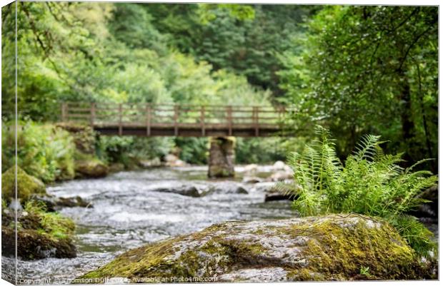 Watersmeet on the East Lyn River, North Devon Canvas Print by Thomson Duff