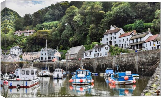 Lynmouth Harbour View Canvas Print by Thomson Duff