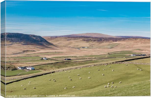 Cronkley Scar and Widdybank Fell, Teesdale Canvas Print by Richard Laidler