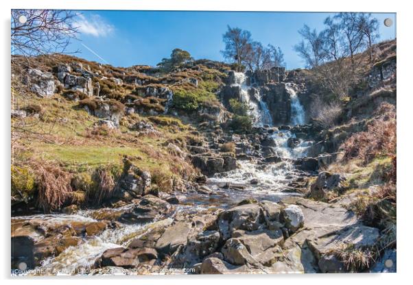 Blea Beck Force, Teesdale Acrylic by Richard Laidler