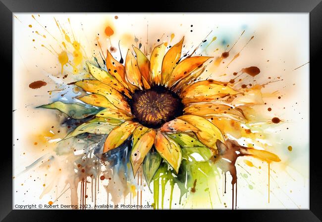 Sunflower Framed Print by Robert Deering