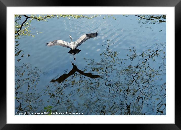 in flight Framed Mounted Print by Jo Beerens