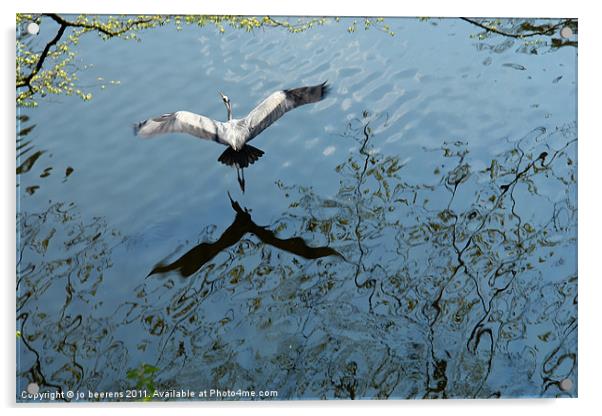 in flight Acrylic by Jo Beerens